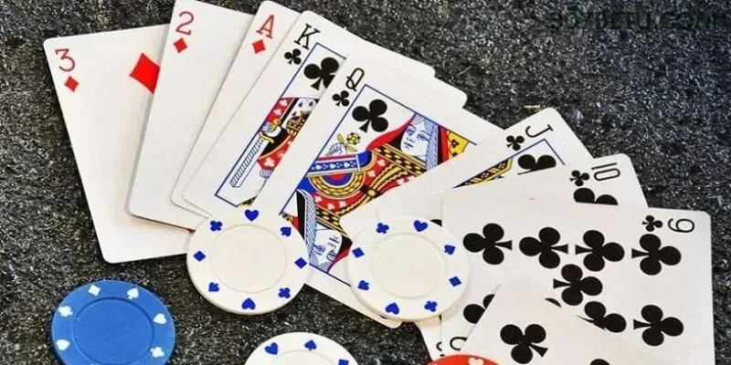 307bet - 8